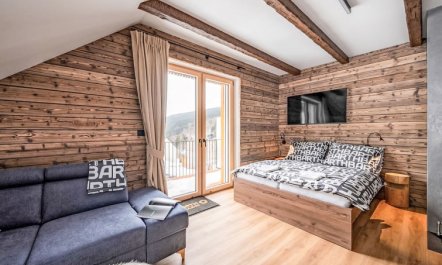 Dolní Morava Apartment 4 3