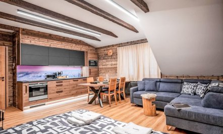 Dolní Morava Apartment 4 2