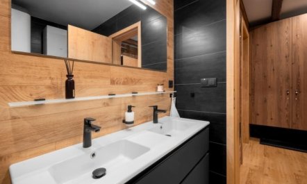 Dolní Morava Apartment 3 5