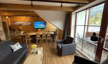 Špindlerův Mlýn 61 Apartment 2