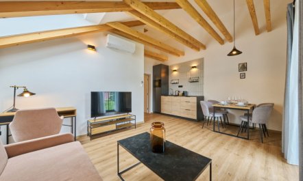 Luxury Mountain Attic with AC & Netflix 1