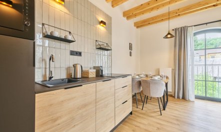 Luxury Mountain Attic with AC & Netflix 2