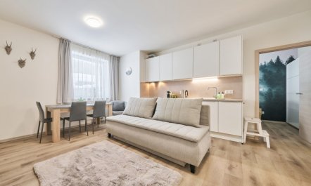 Černý Důl Apartment 4 1