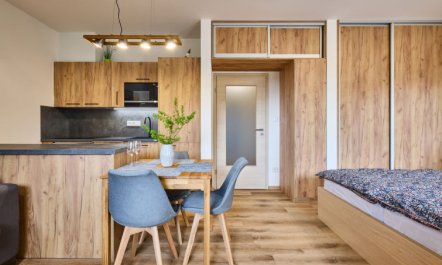 Černý Důl Apartment 2 7