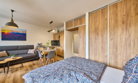 Černý Důl Apartment 2 1