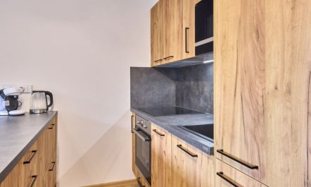 Černý Důl Apartment 2 2