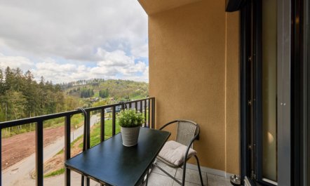 Černý Důl Apartment 2 5