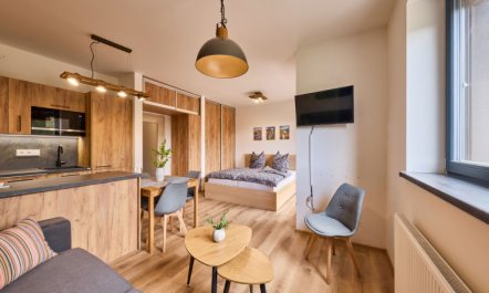 Černý Důl Apartment 2 6