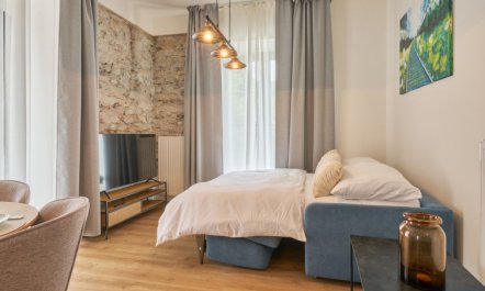 Luxury Home with large terrace & Netflix Apartment 2 7