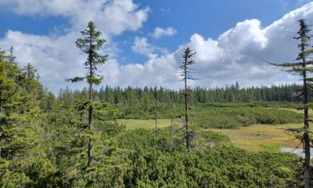 Ski&Bike Siréna Apartment 6 7