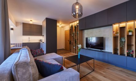 Summit View Lounge & Alcove Apartment 3 1