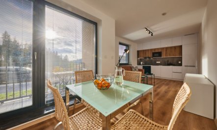 Černý Důl Apartment 3