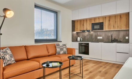 Černý Důl Apartment 3 7