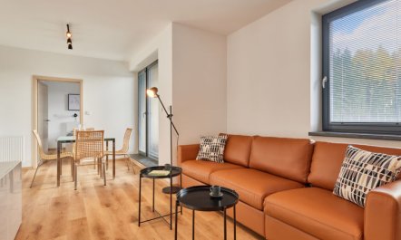 Černý Důl Apartment 3 1