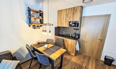 Ski&Bike Siréna Apartment 8 1