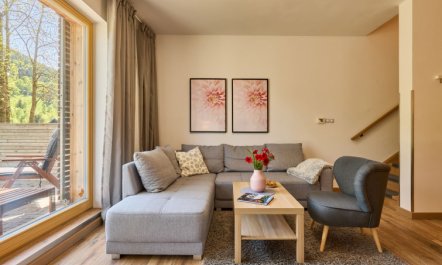 Ski-In Ski-Out Mountain Duplex Portášky2 Apartment 2 6