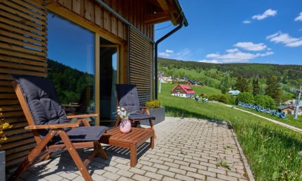 Ski-In Ski-Out Mountain Duplex Portášky3 5