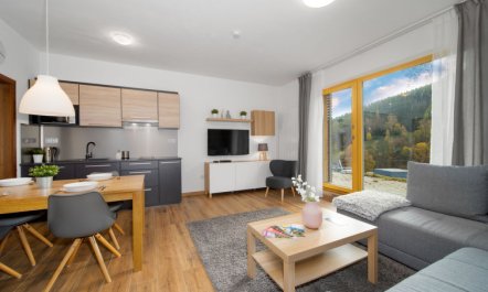 Ski-In Ski-Out Mountain Duplex Portášky3 1