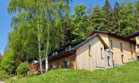 Ski-In Ski-Out Mountain Duplex Portášky3