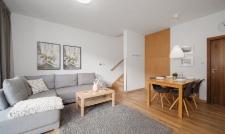 Ski-In Ski-Out Mountain Duplex Portášky3 7