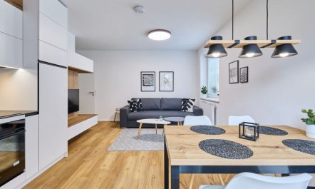 Chic Mountain Terrace Lounge 6