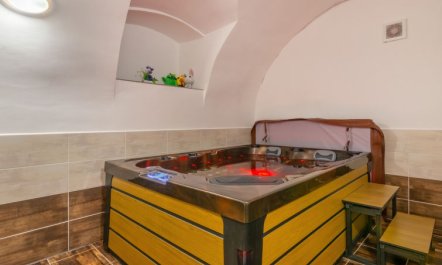 Pool & Wellness Estate 2