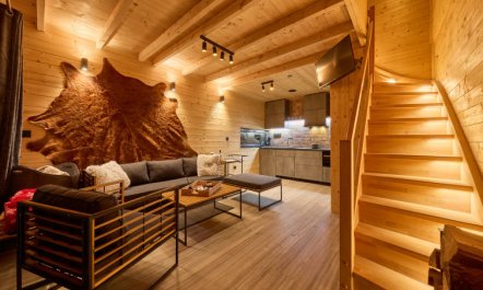 Luxe Timber Lodge & Pet Retreat 6