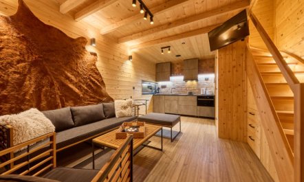 Luxe Timber Lodge & Pet Retreat 0