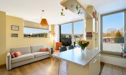 Čertovka Apartment 4 1