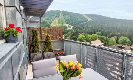 Čertovka Apartment 4 4