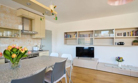 Čertovka Apartment 4 5