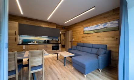 Rezidence Krakonoš 105 Apartment 3 2