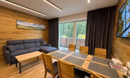 Rezidence Krakonoš 105 Apartment 3 7