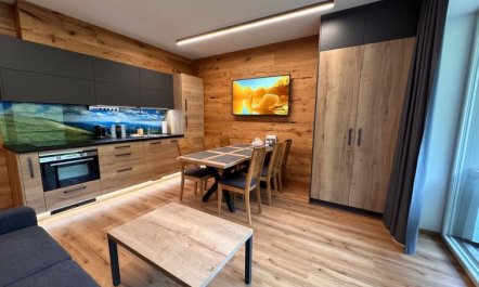 Rezidence Krakonoš 102 Apartment 2