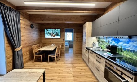 Rezidence Krakonoš 101 5