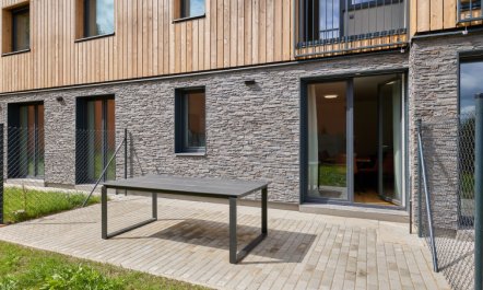 Modern Mountain Terrace Retreat & Pets 4