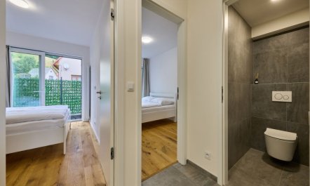 Modern Mountain Terrace Retreat & Pets 5