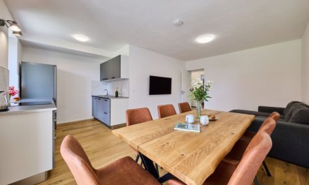 Modern Mountain Terrace Retreat & Pets