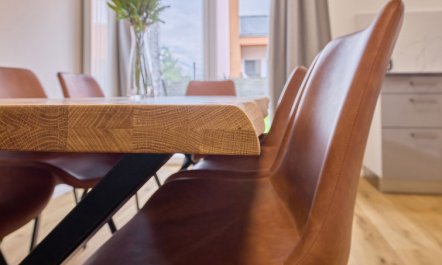 Modern Mountain Terrace Retreat & Pets 6