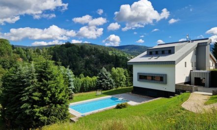 Mountain Luxe Nest & Pool Apartment 3