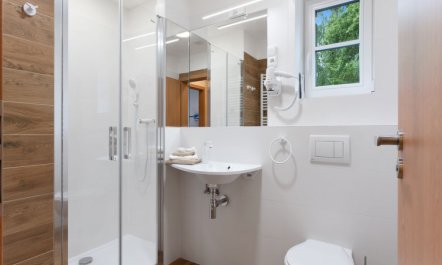 V kapradí Apartment 4 4