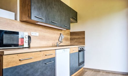 Pod Černou Studnicí Apartment 2 6