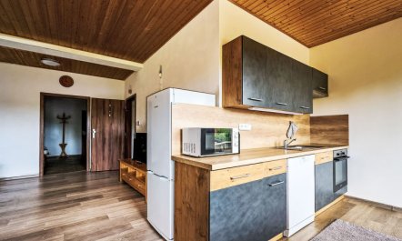 Pod Černou Studnicí Apartment 2 1
