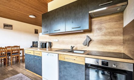 Pod Černou Studnicí Apartment 2 5