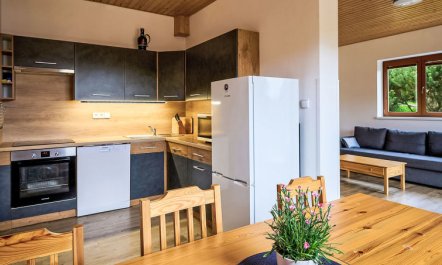 Pod Černou Studnicí Apartment 3 1