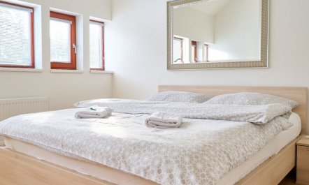 Sunny Mountain Escape & Pets 3