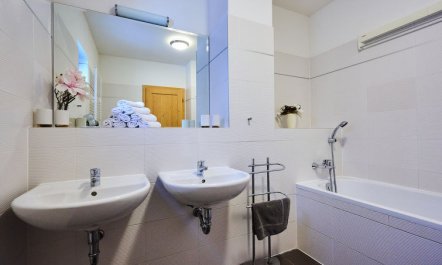 Sunny Mountain Escape & Pets 4