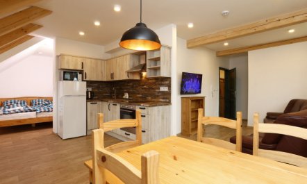 Hora Jizera Apartment 9