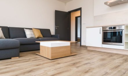 Simba Klínovec Apartment 2 6