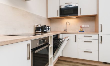 Simba Klínovec Apartment 2 7